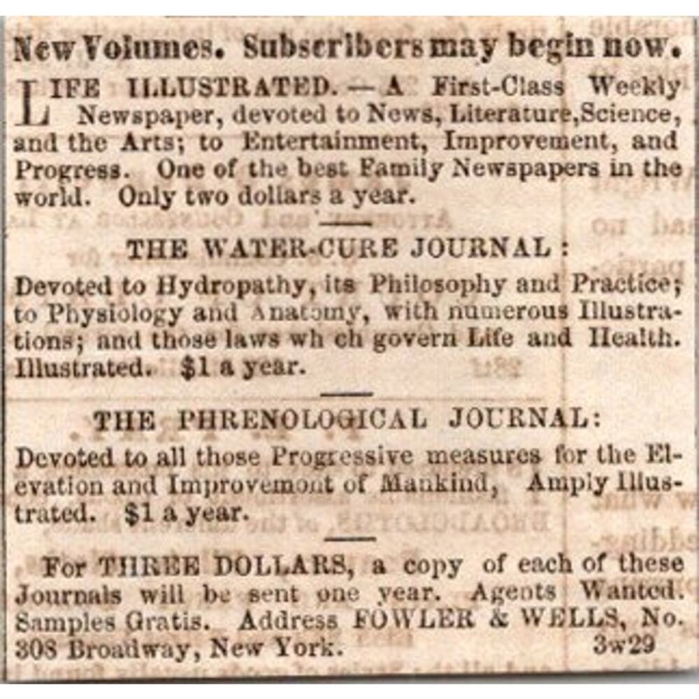 Life Illustrated The Water-Cure Journal 1855 Portland ME Clipping SAI4-M4